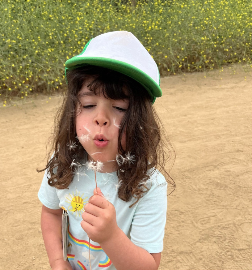 blowing dandelion seeds into the wind